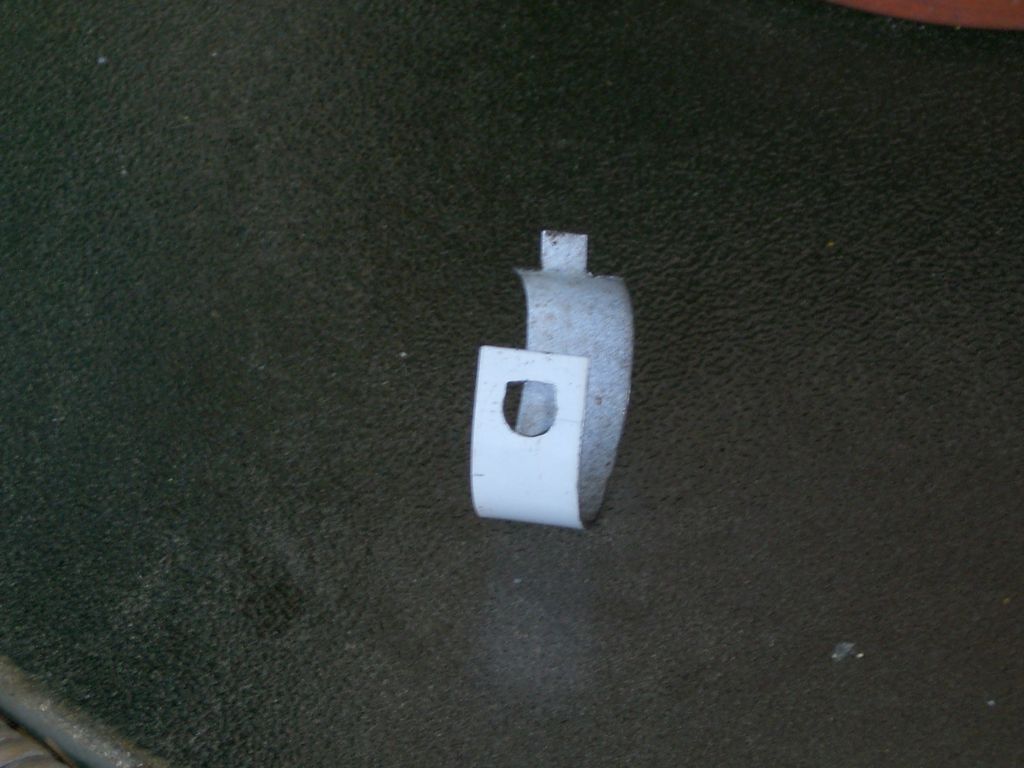 Panta