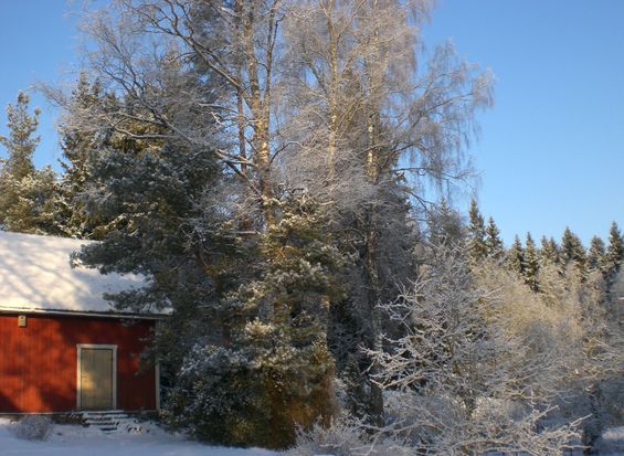 Kukka