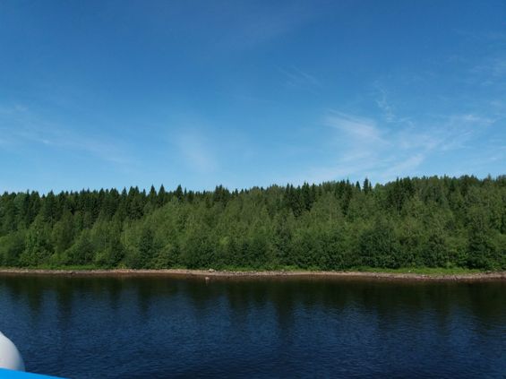 Kukka