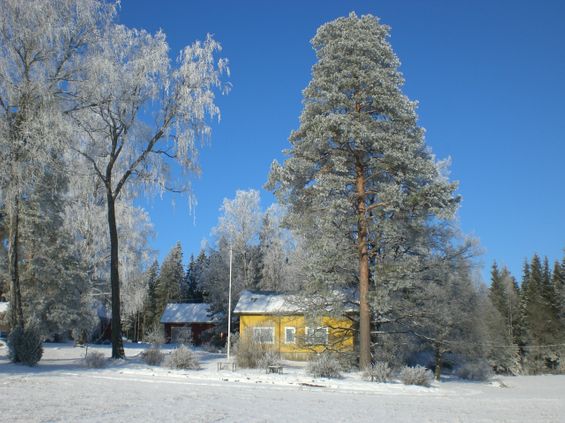 Kukka