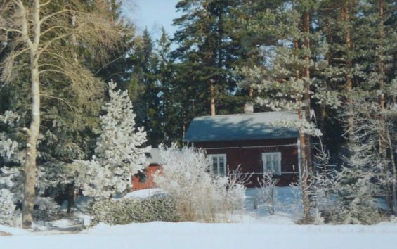 Kukka