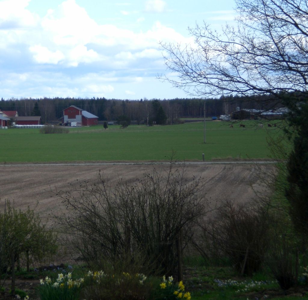 Kukka