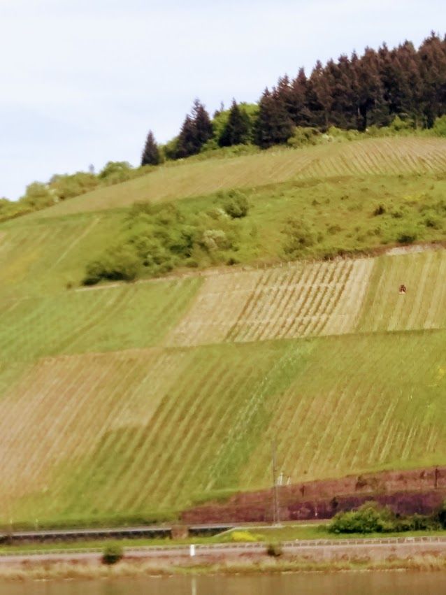 Kukka